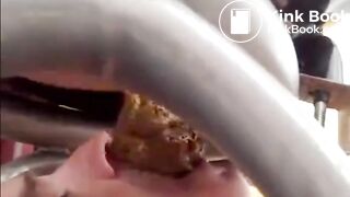 shit feed and face fuck