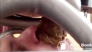 shit feed and face fuck