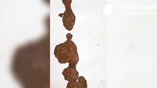 Human Toilet inquire within