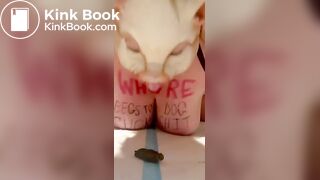 Tags suggested by the fat sick shitwhore itself