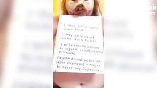 HUNGRY HOGS AND PATHETIC PIGS scat collection