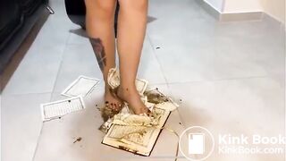 Quran defiling: feet-scat super extra humiliation!
