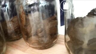 BBW and ALOT Of Shit