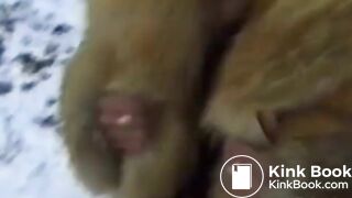 Super scat