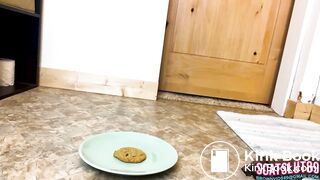 Mmm Freshly Made Shit Snack