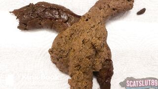 Thick Trans Girl Shit of the Day (with Pics)