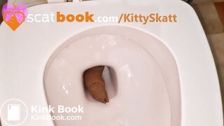 Massive toilet clog log