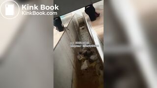Beautiful girl poops in the toilet 20