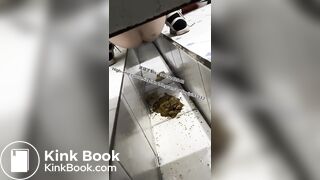 Beautiful girl poops in the toilet