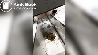 Beautiful girl poops in the toilet