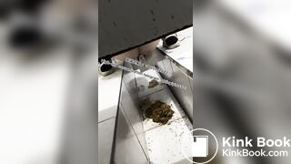 Beautiful girl poops in the toilet