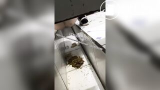 Beautiful girl poops in the toilet