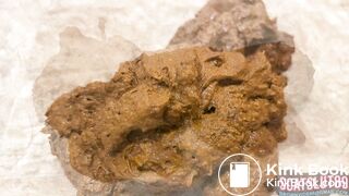 Shitting Onto the Kitchen Floor