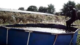 manure dump