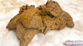 Pissing and Shitting on My Bathroom Floor