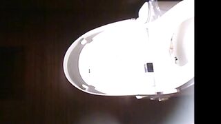 Japanese Spy Bowlcam
