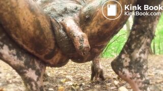 Horny dump session in the woods