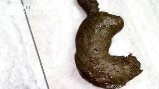 PulsiferPaprocki impossible panty poop