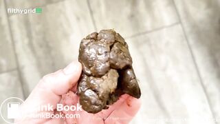 PulsiferPaprocki impossible panty poop