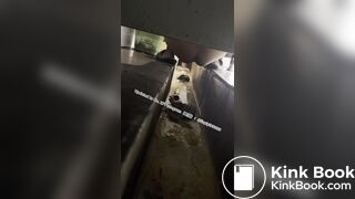 Beautiful girl poops in the toilet 38