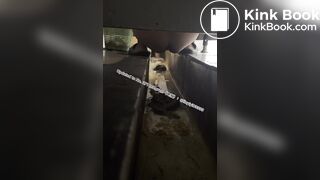 Beautiful girl poops in the toilet 38