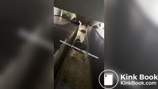 Beautiful girl poops in the toilet 38