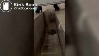 Beautiful girl poops in the toilet 50