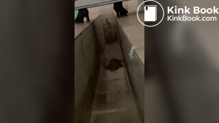 Beautiful girl poops in the toilet 50