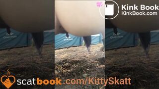 Shitting on camping ground