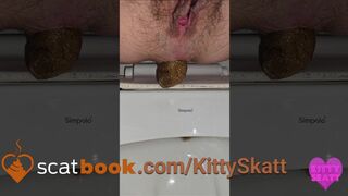 Stinky turd into toilet - video 2
