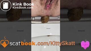 Stinky turd into toilet - video 2