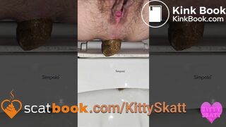 Stinky turd into toilet - video 2