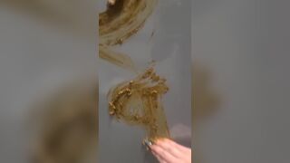 MESSING UP A PUBLIC TOILET