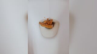 Poop - video 5