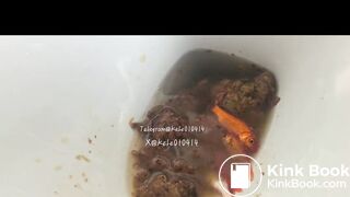 Pooping in front of a goldfish in a cup