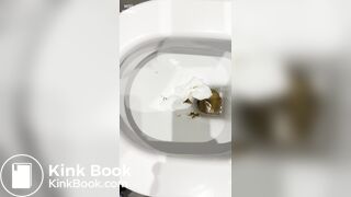 Huge turd and clenease