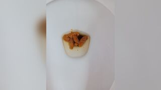 Poop - video 3