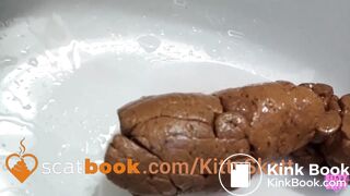 Stinky turd into toilet