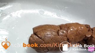 Stinky turd into toilet