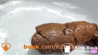 Stinky turd into toilet