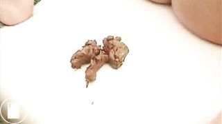 Amazing Brunette Frontal Poop