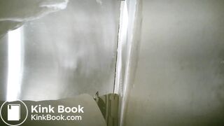 Sexy lady pooping in the toilet