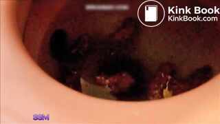 Compilation of girls shitting, farting and pissing