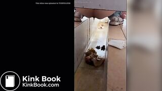 girl poops in toilet shaft