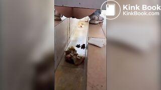 girl poops in toilet shaft