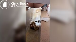 girl poops in toilet shaft