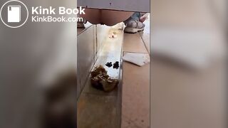 girl poops in toilet shaft