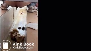 girl poops in toilet shaft