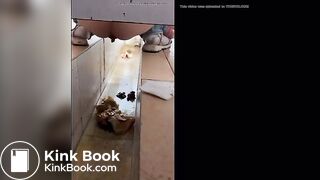 girl poops in toilet shaft