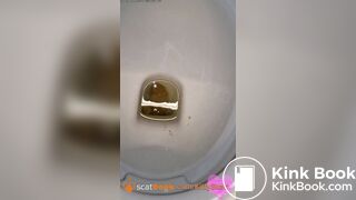 Standing poop and piss on toilet - video 3